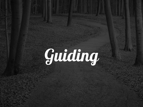 guiding